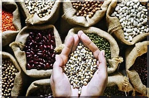 Various legumes in bags and hands