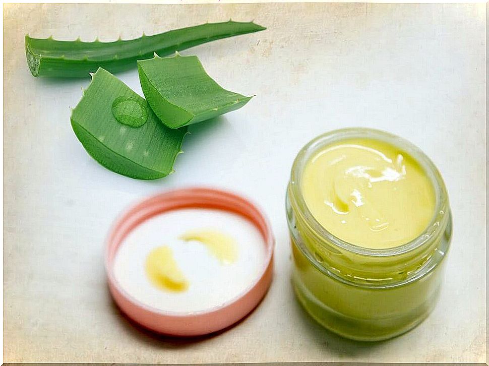 Eye cream made from aloe vera and grape seed