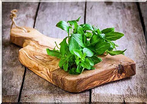 Basil is a natural remedy for mosquitoes