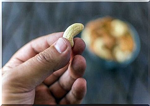 Cashew nut in hand