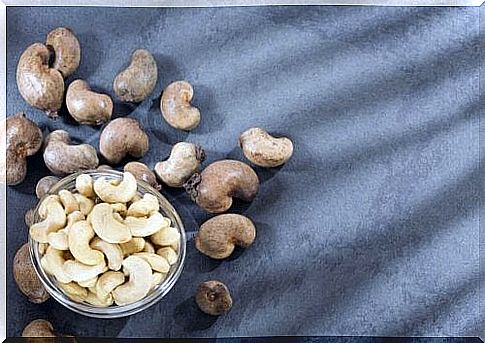 Cashew nuts in bowl to make cashew cream