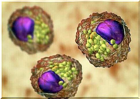 Characteristics, types and function of lipids