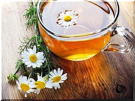 fight barley grains with chamomile