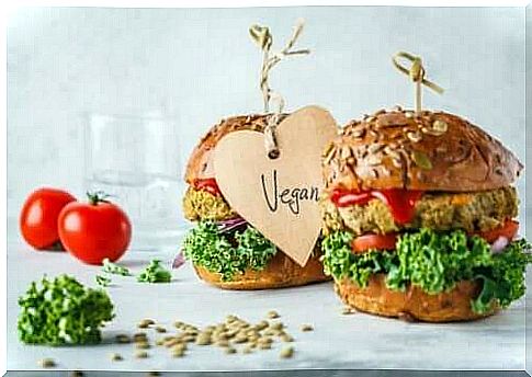 Vegan burgers