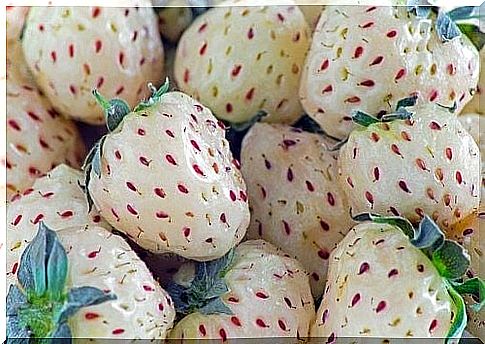 Have you ever heard of pineapple strawberries or white strawberries?