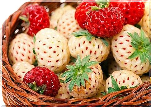 Different types of strawberries