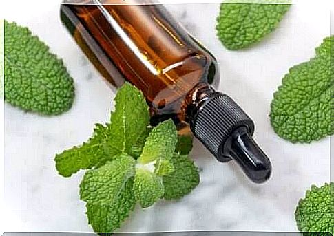 Peppermint oil can be used against gastritis in children