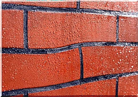 How to protect against mold on brick walls