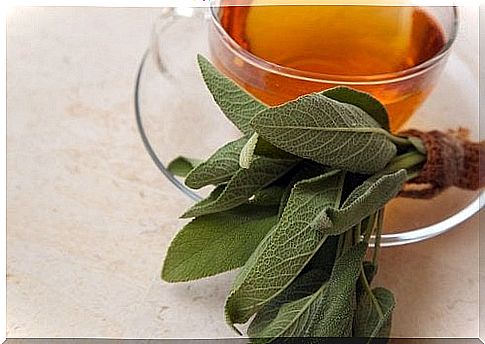 Sage has anti-inflammatory properties and is therefore good for treating sore throat