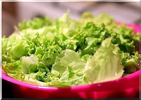 A bowl of green salad