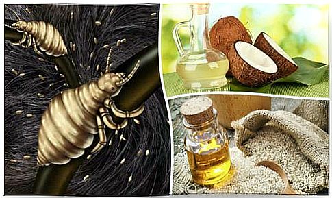 Natural Lice Treatment: The Five Best Lice Remedies