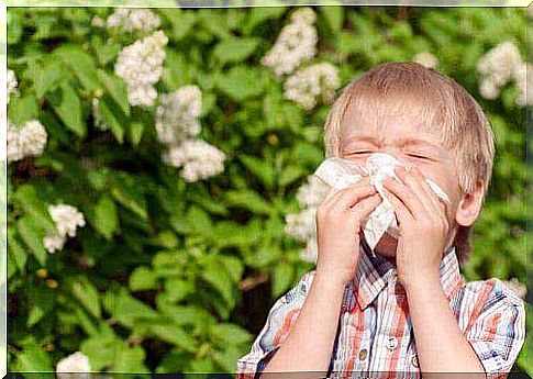 Boy with pollen allergy brushes nose