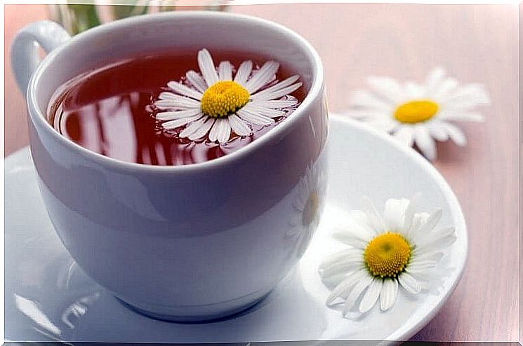 Chamomile tea 