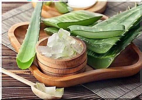 Aloe vera leaf and gel