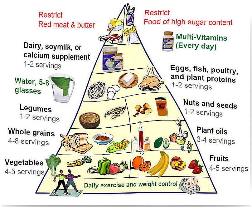 The new diet pyramid for a healthy lifestyle