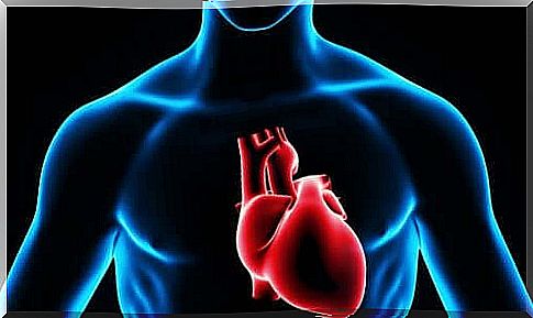 Illustration of heart which is the place where an intracardiac injection is given