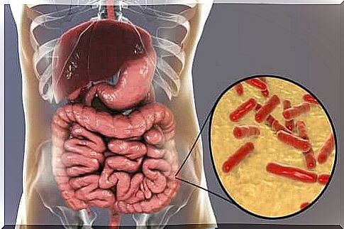 An image of intestinal flora