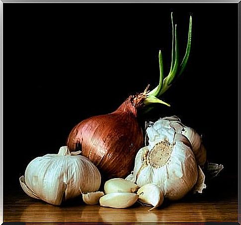 Garlic